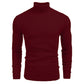📢60 % DE RÉDUCTION❗Pull fin à col roulé en tricot pour hommes d'hive