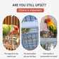 Mangeoire à oiseaux transparente anti-déversement automatique