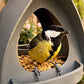 📢 50 % de réduction ⏰ Mangeoire suspendue pour oiseaux avec toit – Observation facile, nourriture protégée & design durable ! 🐦🌧️