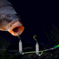 🎣⚡ Montage de fond inversé à double hameçon ! La version améliorée augmente le taux de ferrage de 50 % – dites adieu aux accrocs ! 🎣