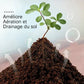 🌺Charbon de coco biologique d'origine végétale