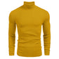 📢60 % DE RÉDUCTION❗Pull fin à col roulé en tricot pour hommes d'hive