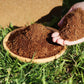 🌺Charbon de coco biologique d'origine végétale