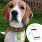 🎉Achetez 1 obtenez 1 gratuit🔥Bluetooth et GPS -Localisateur intelligent