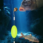 🎣⚡ Montage de fond inversé à double hameçon ! La version améliorée augmente le taux de ferrage de 50 % – dites adieu aux accrocs ! 🎣