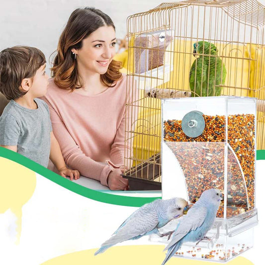 Mangeoire à oiseaux transparente anti-déversement automatique