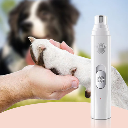 Lime Électrique Premium pour Griffes d’Animaux