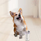🐶Nettoyeur de Pattes pour Animaux à Rotation Automatique