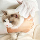 🎉 Promotion du dernier jour - 50% de réduction 🫧Gants de nettoyage sans rinçage pour animaux de compagnie