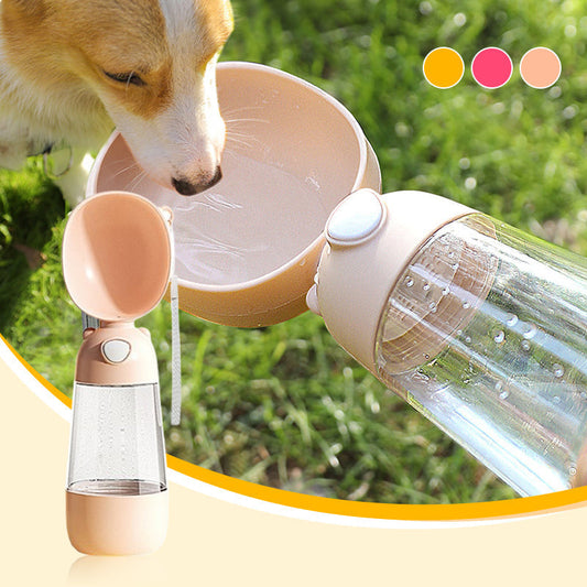 Gourde pour chien à l'extérieur