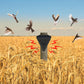 🕊️✨Wasserdichter Solar-Vogelabwehr für den Außenbereich