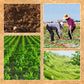 Herses à dents agricoles