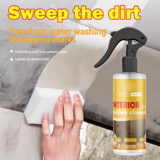 Multi-Purpose Automotive Interior Fabric Cleaner