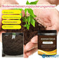 🍃🔥 Acheter 2 Obtenir 1 (3 PCS) 🔥  Agent de relâchement d'amélioration du sol