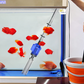 Changeur d'eau et nettoyeur de filtre d'aquarium à aspiration électrique