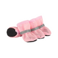 Chaussures en maille respirantes pour chien