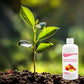 🔥Hot Sale🔥Solution nutritive pour floraison abondante et rendement accru