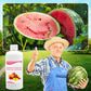 🔥Hot Sale🔥Solution nutritive pour floraison abondante et rendement accru