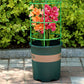 Tuteurs amovibles pour plantes, fleurs et fruits