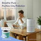 Purificateur d'air intelligent pour la maison