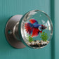 Bouton de porte décoratif unique