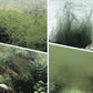 🔥Offre spéciale🔥Puissant clarificateur d'eau pour aquarium