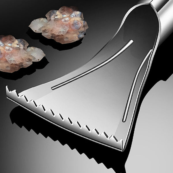 Écailles de poisson en acier inoxydable avec extracteur de dents et manche robuste, outil de cuisine Écailles de poisson en acier inoxydable avec extracteur de dents et manche robuste, outil de cuisine