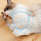 🐱50 % DE RÉDUCTION ! ✨ Balle interactive pour chat avec plume - Roule automatiquement et clignote pour un jeu actif et de l'exercice 🎾💫